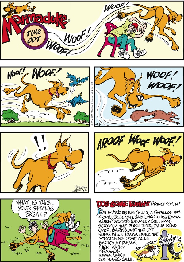 marmaduke